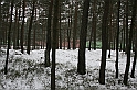 Czerwonym Szlakiem 067